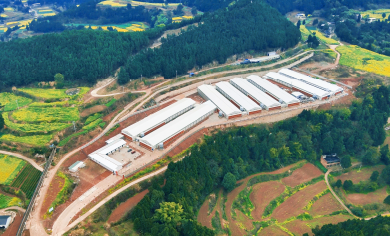 冲刺收尾！小巨人射洪市300万羽肉鸡场EPC项目加速落地