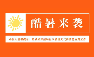 酷暑来袭！养殖场防范这些事项要注意