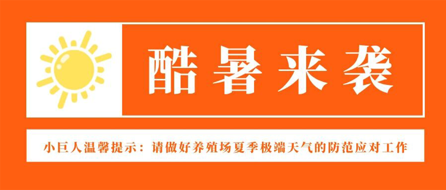 酷暑来袭!养殖场防范这些事项要注意