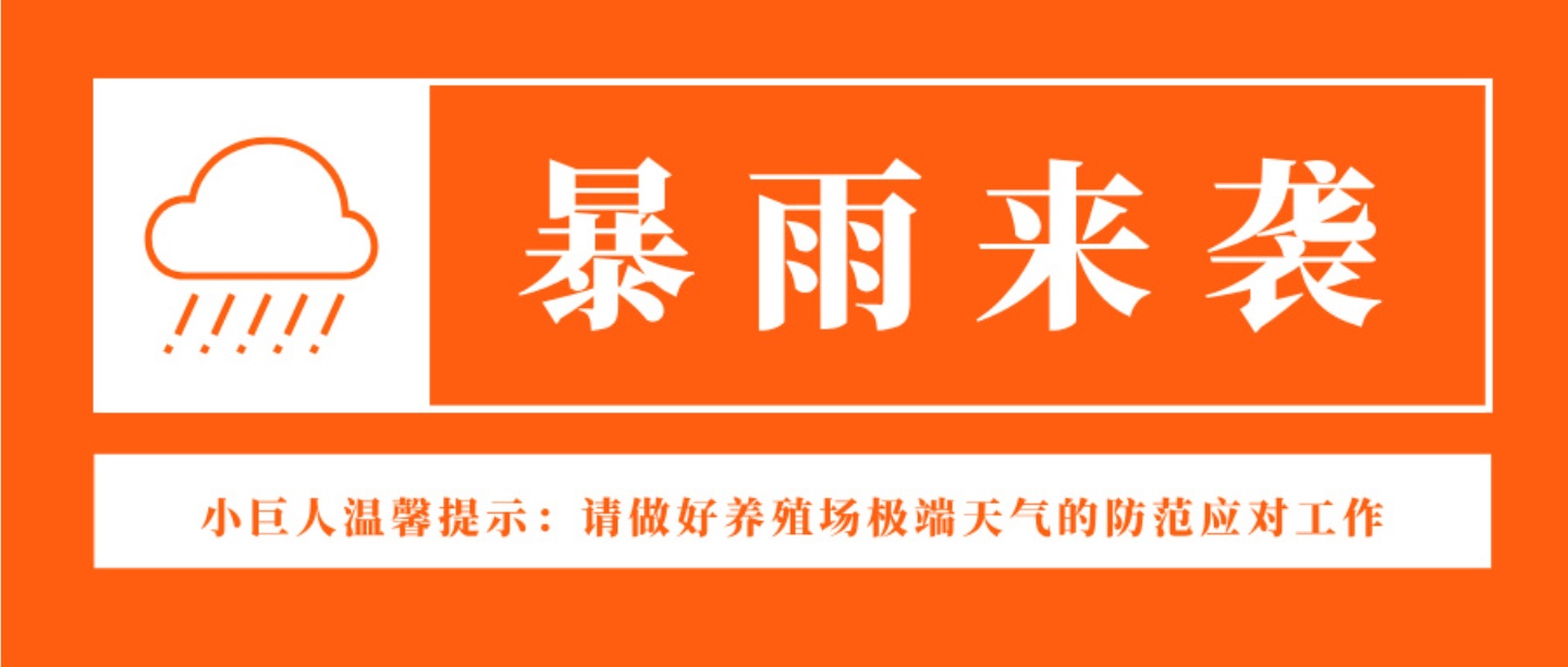 暴雨来袭!养殖场安全防范要注意!