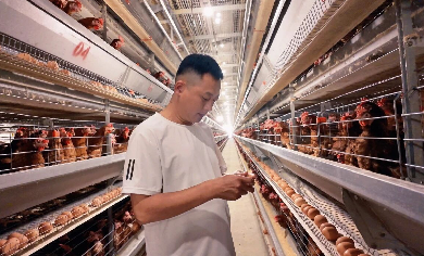 小巨人&middot;与标杆同行&mdash;&mdash;走进鑫航禽业