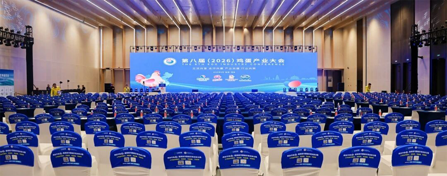 赋能蛋企提质增效!小巨人集团亮相第八届鸡蛋产业大会